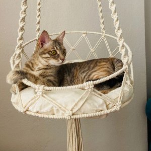 Гамак подвесной для кошек, плетеный