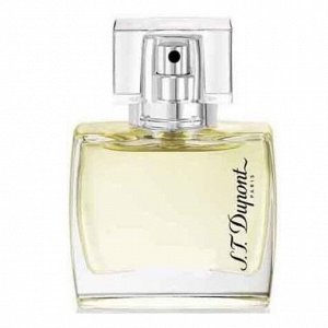 DUPONT Special Edition men tester 100ml edt м(н) туалетная вода мужская Тестер