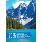 Датировка 2025. Календари. Ежедневники. Для дома и офиса