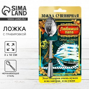Ложка чайная с гравировкой «Любимый папа», на подарочной открытке, 3x14 см