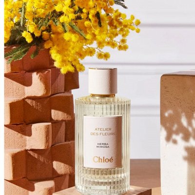Chloe пополнение линейки 8 супер ароматов