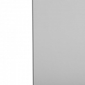 Зеркало «Птицы», с пескоструйной графикой, настенное, 40?110 см