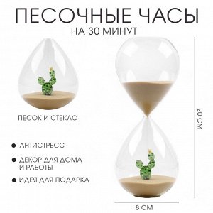 Песочные часы, сувенирные, на 30 минут, 8 х 20 см