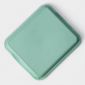 Поднос пластиковый, 25x29x3,2 см, цвет фисташковый