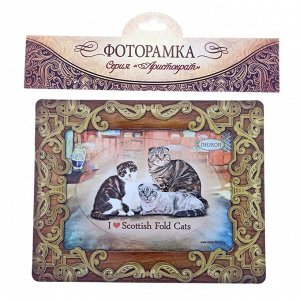 Фоторамка-магнит "I love Scottish Fold Cats", серия "Шотландская вислоухая кошка"