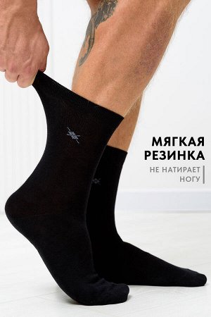 Носки мужские Форум (комплект 3 пары)
