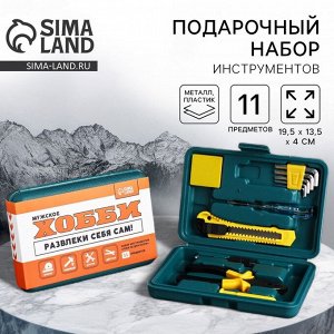 Подарочный набор инструментов в кейсе «Развлеки себя сам», 11 предметов