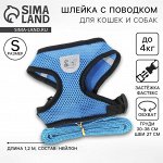 Шлейка дышащая с поводком и светоотражающей нашивкой, S, ОШ 27, ОГ 30-38, синяя