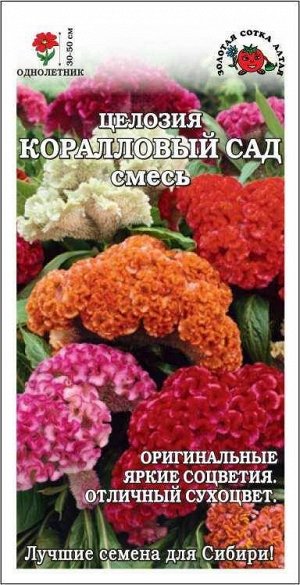 Цветы Целозия гребенчатая Коралловый сад ЦВ/П (СОТКА) 0,2гр однолетник сухоцвет 30-50см