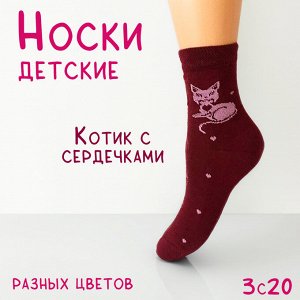 ЮСТАТЕКС 3С20 Носки детские для девочек с котиком и сердечками