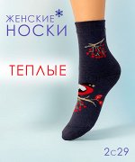 Юстатекс 2С29 Носки женские зимние с внутренним плюшем и рисунком на паголенке