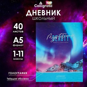Дневник школьный для 1-11 классов «Северное сияние», твёрдая обложка, голография, 40 листов