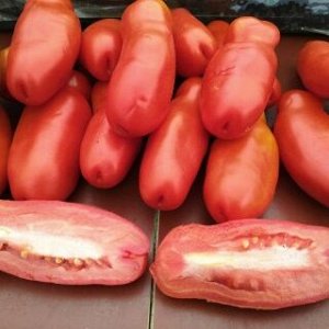 Томат Казанова 5 шт
