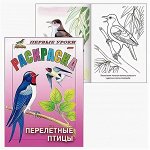 Раскраски