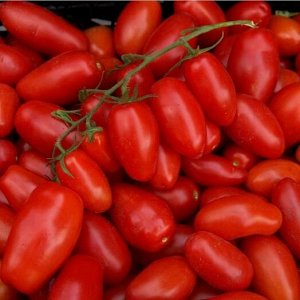 Томат Дамские пальчики 5 шт