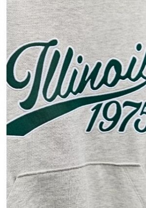 ХУДИ С НАДПИСЬЮ ILLINOIS арт. 1131843, серый