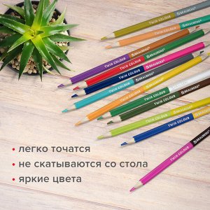 Карандаши цветные двусторонние BRАUBERG PREMIUM TWIN COLOUR, 12 штук = 24 цвета