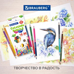 Карандаши цветные двусторонние BRАUBERG PREMIUM TWIN COLOUR, 12 штук = 24 цвета