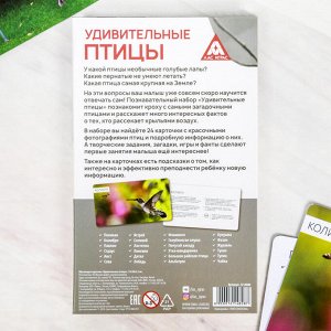 Энциклопедия в карточках «Удивительные птицы», 24 карточки