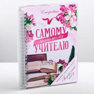 Подарочный набор &quot;Самому любимому учителю&quot;: ежедневник и органайзер для ручек