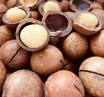 Макадамия в скорлупе калибр 3А, 1кг