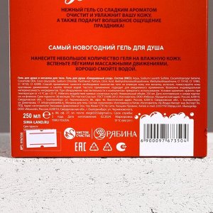 Подарочный набор новогодний «С праздником», гель для душа 250 мл и мочалка для тела, Чистое счастье