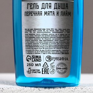 Подарочный набор «Настоящему мужику», гель для душа и шампунь для волос, 2x250 мл, Чистое счастье