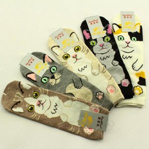 3D Носки Эксклюзивные носочки с изображением собачек, кошек. Размер 22-25см. Цвета и рисунки в ассортименте.
