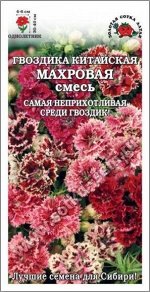 Цветы Гвоздика китайская Махровая Смесь ЦВ/П (СОТКА) 0,2гр однолетник 30-40см