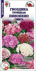 Цветы Гвоздика турецкая Пиноккио Смесь ЦВ/П (СОТКА) 0,2гр двулетник 20см