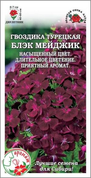 Цветы Гвоздика турецкая Блэк Мейджик ЦВ\П (СОТКА) 0,2гр двулетник 40-60см