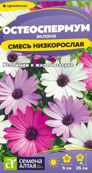 Цветы Остеоспермум Смесь эклона низкорослая/Сем Алт/цп 0,1 гр.