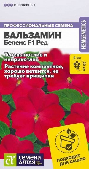 Цветы Бальзамин Беленс F1 Ред/Сем Алт/цп 4 шт.