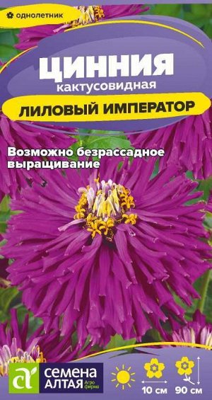Цветы Цинния Лиловый Император кактусовидная/Сем Алт/цп 0,2 гр.