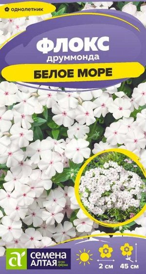 Флокс Белое море друммонда/Сем Алт/цп 0,05 гр.