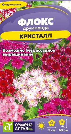 Цветы Флокс Кристалл друммонда/Сем Алт/цп 0,05 гр.