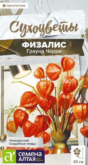 Цветы Физалис Граунд Черри земляничный /Сем Алт/цп 0,1 гр. однолетник Сухоцветы