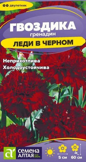 Гвоздика гренадин Леди в черном/Сем Алт/цп 0,05 гр. двулетник