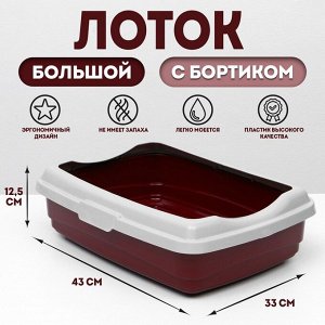 Лоток большой с бортиком Atlantis "Стандарт", 43 х 33 х 12,5 см, красный.