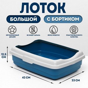 Лоток большой с бортиком Atlantis "Стандарт", 43 х 33 х 12,5 см, синий.