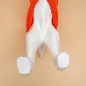 Толстовка для животных с капюшоном, размер 2XL (ДС 55 см). Оранжевая