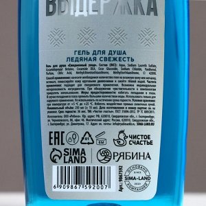 Подарочный набор новогодний «Возможности безграничны»: гель для душа и шампунь для волос, 2x250 мл, Чистое счастье
