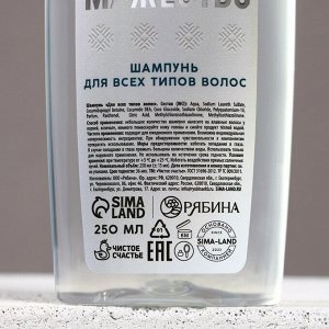 Подарочный набор новогодний «Возможности безграничны»: гель для душа и шампунь для волос, 2x250 мл, Чистое счастье