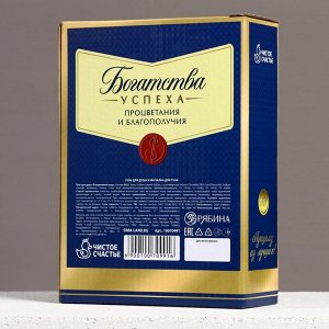 Подарочный набор «Богатства и успеха!», гель для душа виски 250 мл и мочалка для тела, Чистое счастье