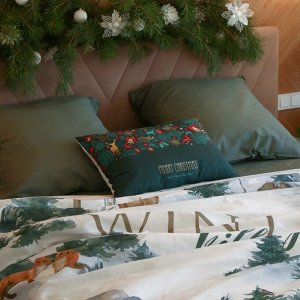 Постельное бельё "Этель" Евро Winter village 200*217 см, 220*240 см, 70*70 см - 2 шт, бязь 125гр/м2