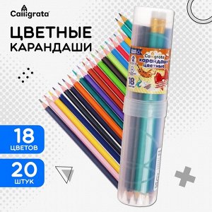 Карандаши Calligrata, цветные, 18 цветов, эконом, шестигранные, пластиковые, пенал-тубус и 2 чернографитных карандаша с ластиком в ПОДАРОК