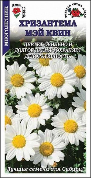 Цветы Хризантема Мэй Квин ЦВ/П (СОТКА) 0,3гр многолетник 75-80см