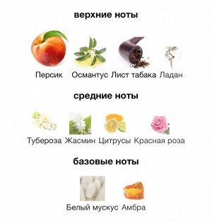 Женские духи The Queen of Sheba Attar Collection 100 мл. Оригинал