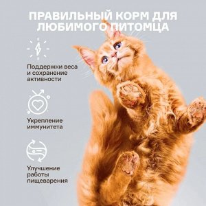 Сухой  корм Wonderfur для взрослых стерилизованных кошек с Индейкой и Курицей. 5 кг. Супер премиум. Россия