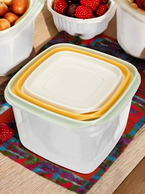 КОМПЛЕКТ КОНТЕЙНЕРОВ ДЛЯ ПРОДУКТОВ CLEVER 3ШТ, 0,45Л + 0,75Л + 1,2Л (Микс 1)